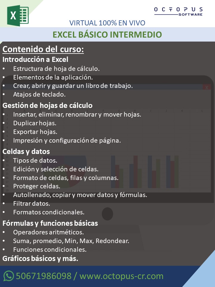 Curso Básico-Intermedio